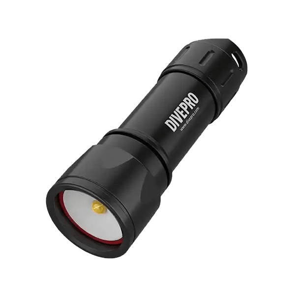 Foto-/videolamp D6F 100° straal - 1050 lumen | DashCam - D-Center