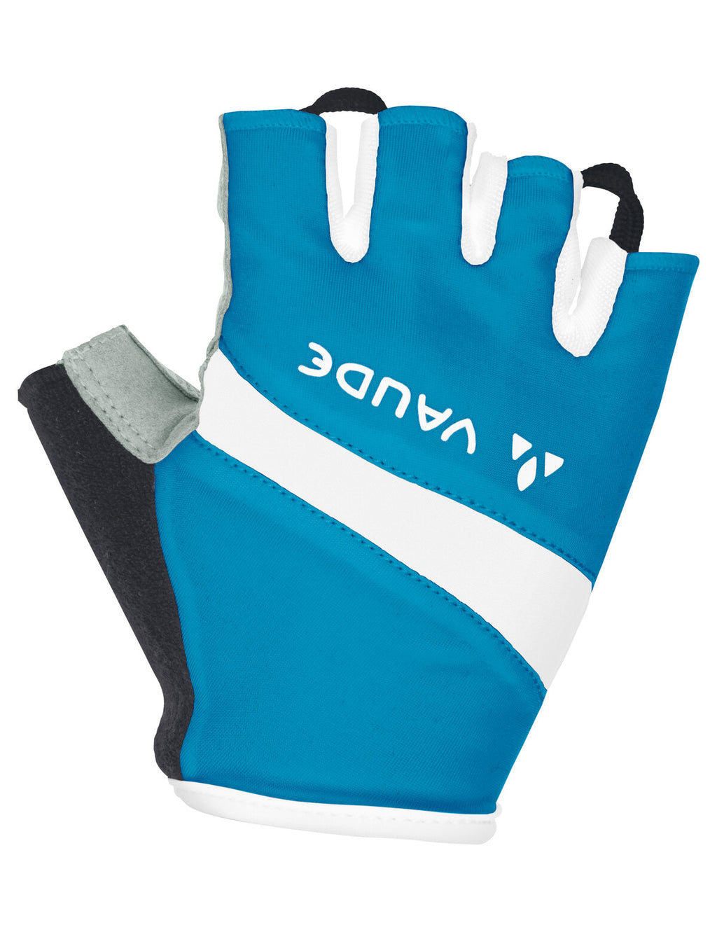 Women's Active Gloves - spring blue