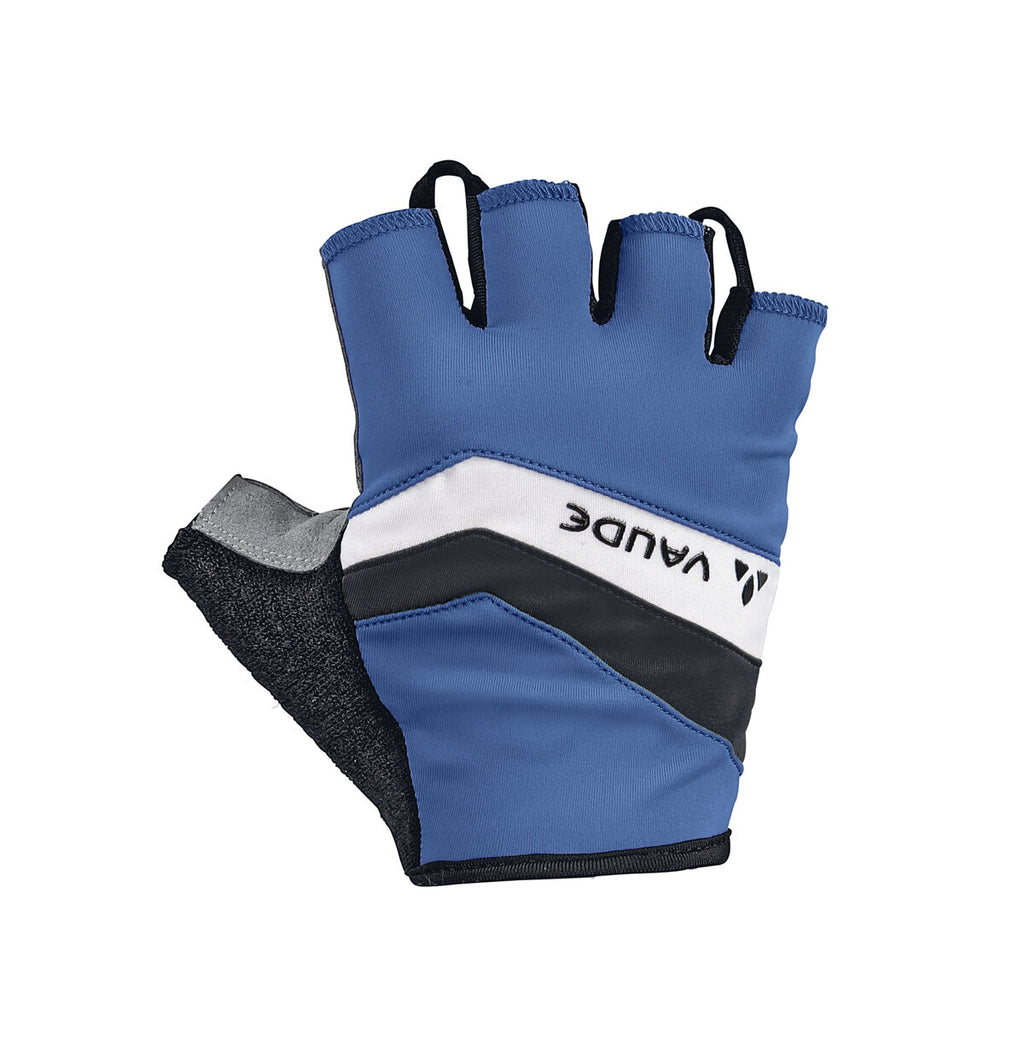 Men's Active Gloves - blue
