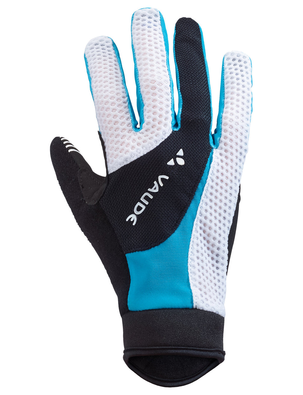 Women's Dyce Gloves - spring blue