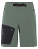 Men's Badile Shorts - agave