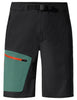 Men's Badile Shorts - pine tree