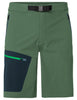 Men's Badile Shorts - woodland/dark sea