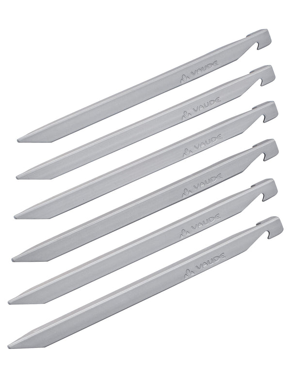 V Peg 6063 18 cm (VPE6) - detail 1