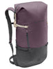CityGo 23 - blackberry