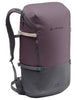 CityGo 30 - blackberry