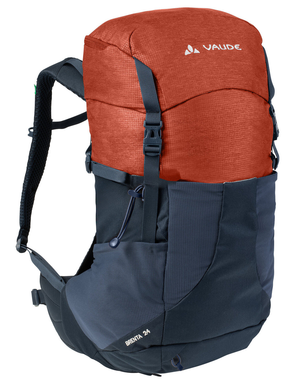 Brenta 24 - squirrel