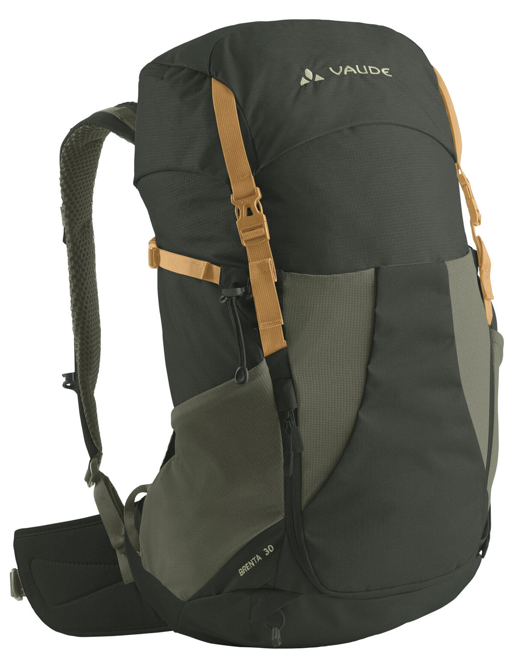 Brenta 30 - cedar wood