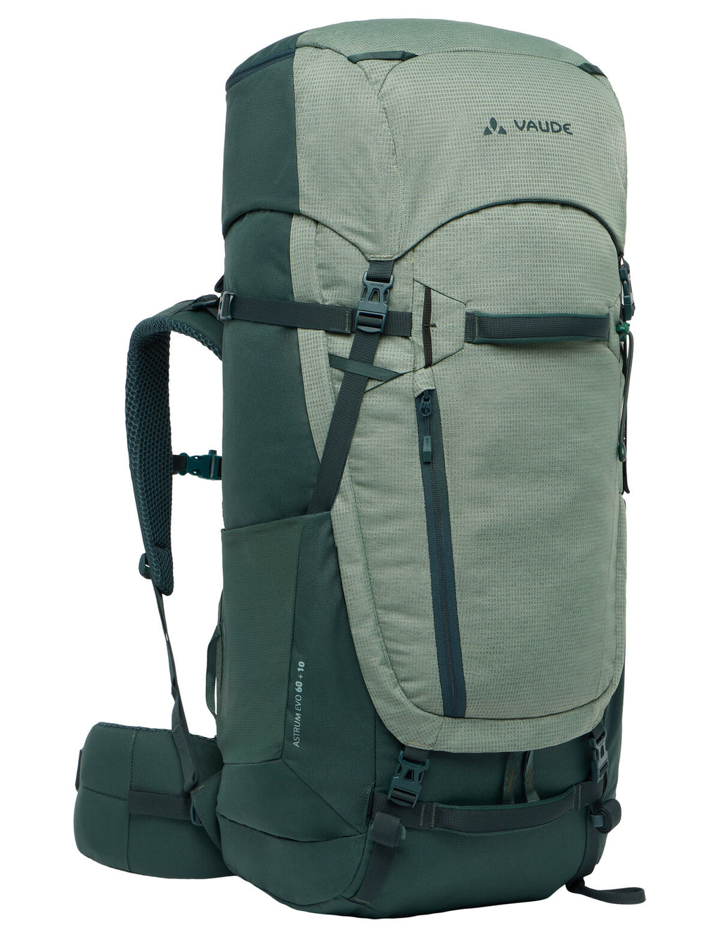 Astrum EVO 60+10 - agave
