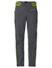 Men's Qimsa Softshell Pants II - iron