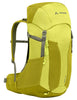 Brenta 24 - light leaf