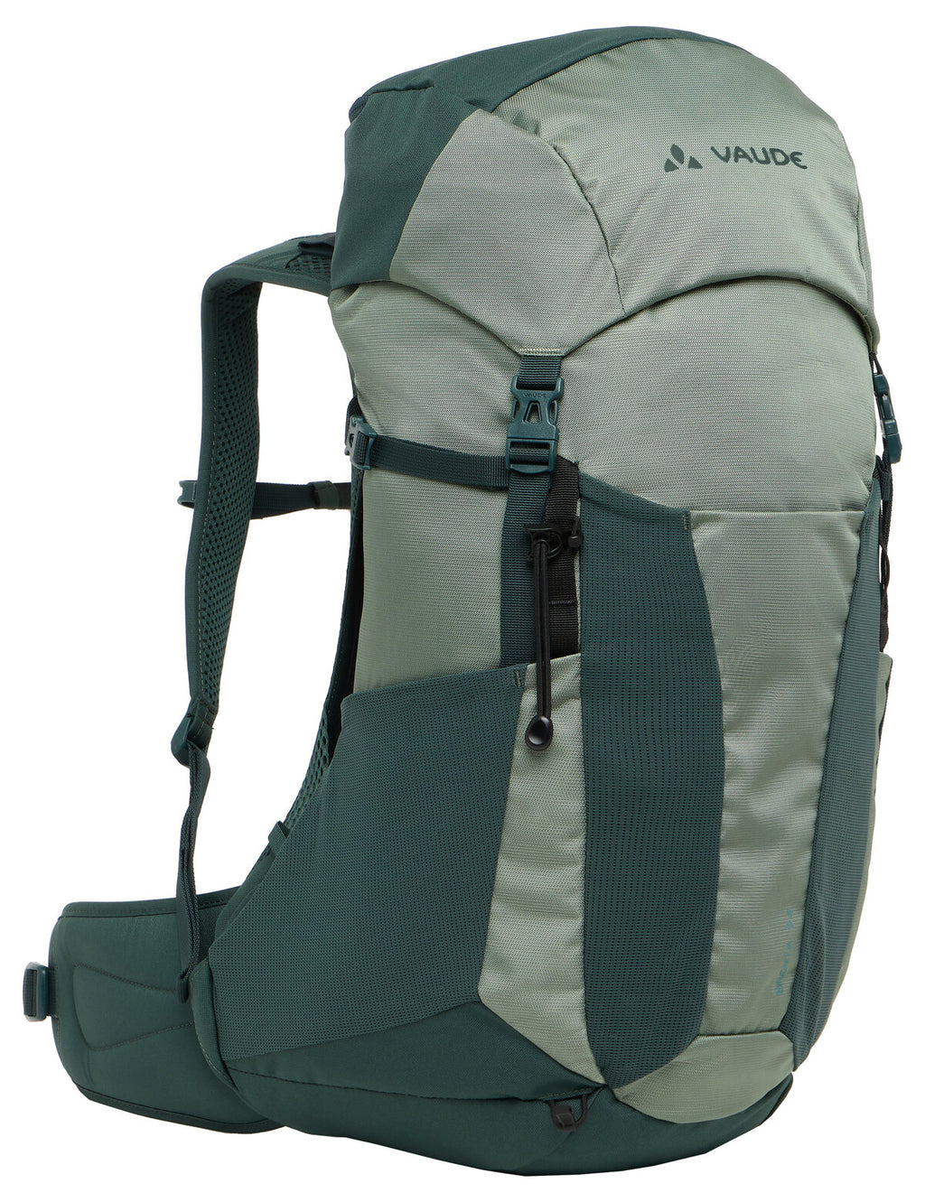 Brenta 24 - agave