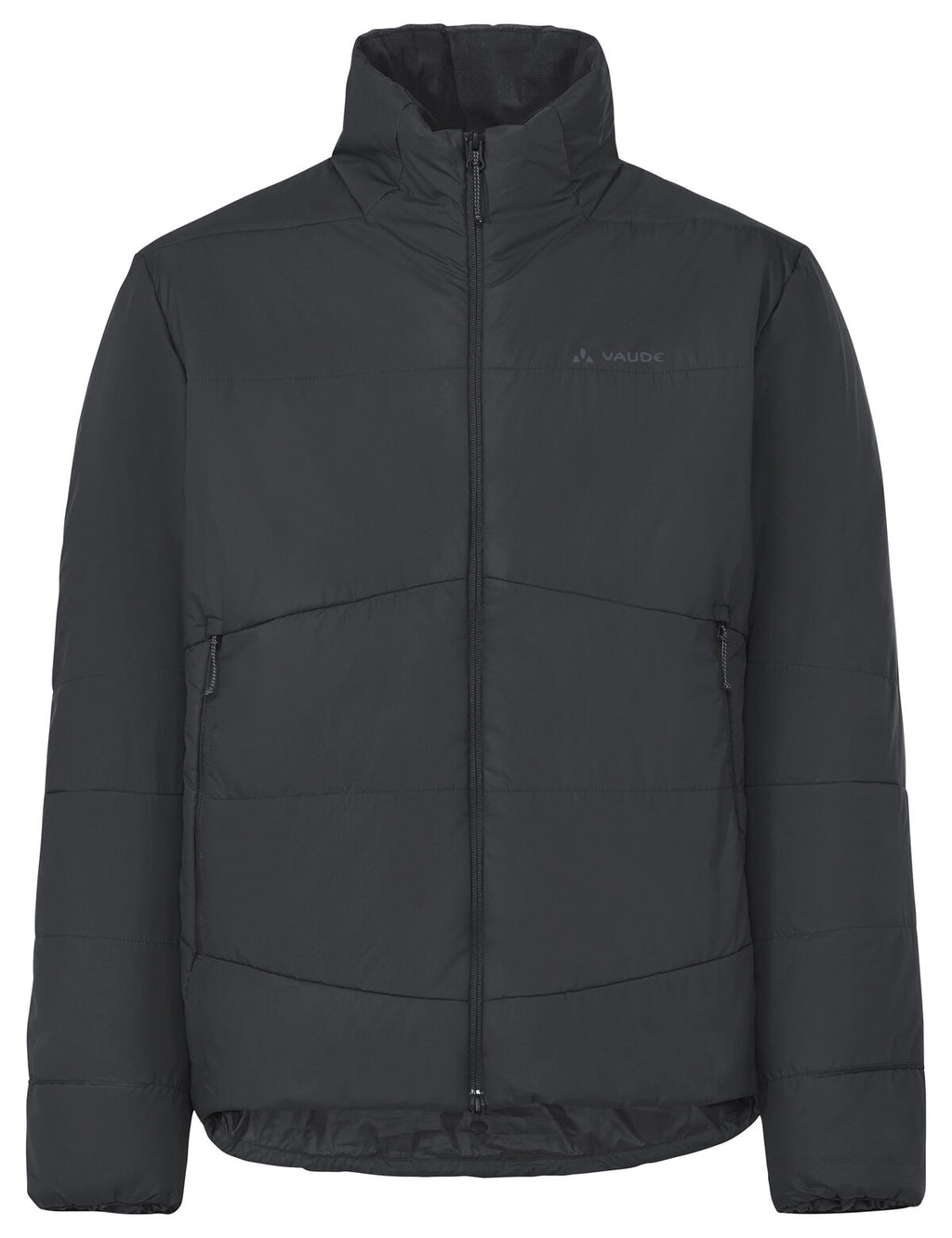 Men's Wintry Insulation Jacket - black